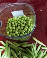 팜모닝 콩·영농일지 게시글 이미지