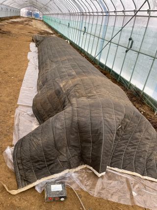 정한용님의 고추 · 영농일지 작성글 사진