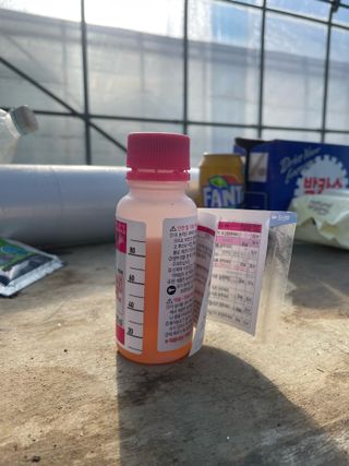 정한용님의 고추 · 영농일지 작성글 사진