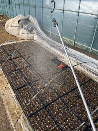 정한용님의 고추 · 영농일지 작성글 사진