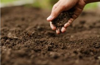 대산농사대장님의 고추 · 토양준비 작성글 사진