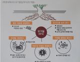 대산농사대장님의 고추·토양준비 작성글 사진