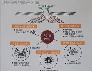 대산농사대장님의 고추 · 토양준비 작성글 사진