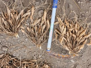 이창신님의 작성글 사진