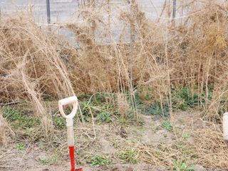 이창신님의 작성글 사진