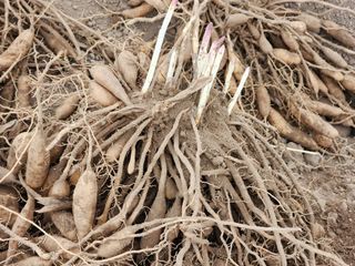 이창신님의 작성글 사진