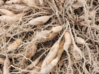 이창신님의 작성글 사진