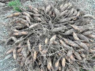 이창신님의 작성글 사진