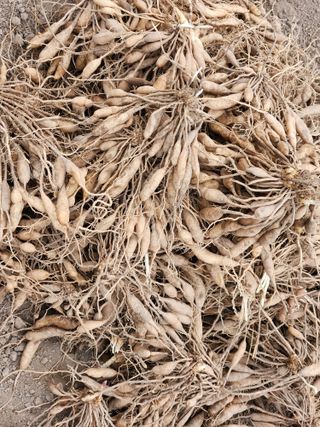 이창신님의 작성글 사진