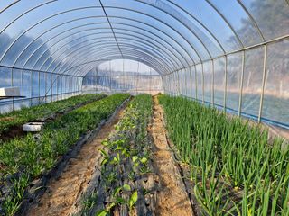 김영준님의 자유주제 · 자유게시판 작성글 사진