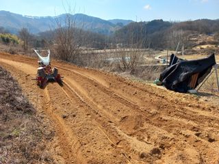 한태훈님의 고구마 · 영농일지 작성글 사진