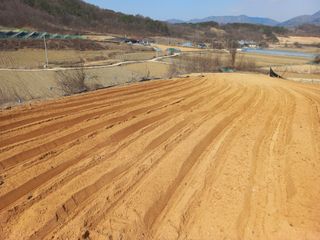 한태훈님의 고구마 · 영농일지 작성글 사진