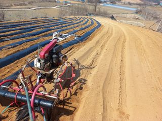 한태훈님의 고구마 · 영농일지 작성글 사진