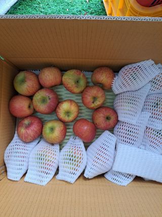 박수정님의 작성글 사진