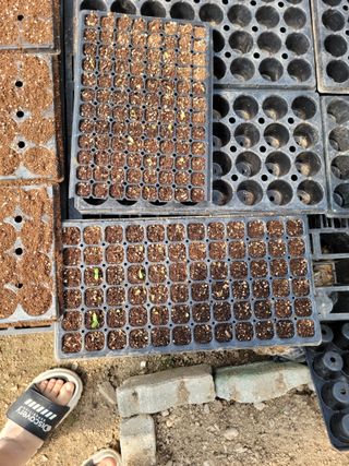 다소농원님의 자유주제 · 자유게시판 작성글 사진