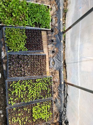 다소농원님의 자유주제 · 자유게시판 작성글 사진