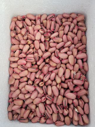 다소농원님의 자유주제 · 자유게시판 작성글 사진