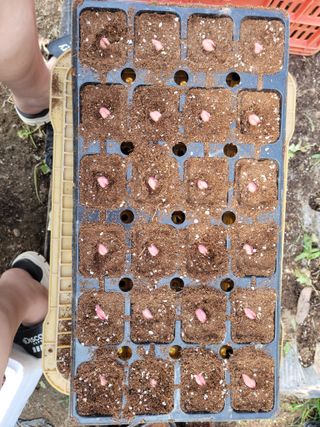 다소농원님의 자유주제 · 자유게시판 작성글 사진