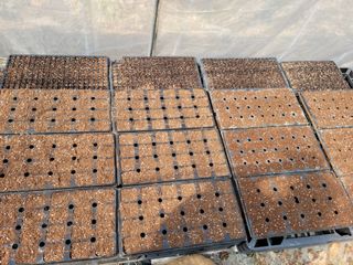 다소농원님의 자유주제 · 자유게시판 작성글 사진