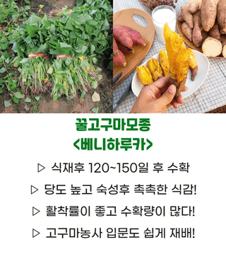 김동수님의 자유주제 · 자유게시판 작성글 사진