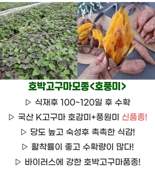 김동수님의 자유주제 · 자유게시판 작성글 사진