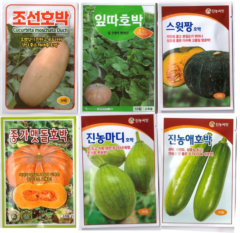 한농농약종묘사님의 장터 판매 상품 [조선호박,마디호박,맷돌호박,애호박,풋호박] 첨부 사진