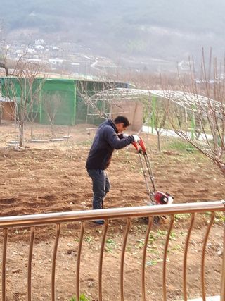 야산 양 형근님의 자유주제 · 자유게시판 작성글 사진