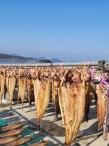 팜모닝 · 게시글 이미지