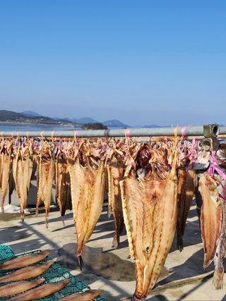 직송포유님의 작성글 사진