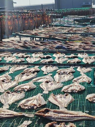 직송포유님의 작성글 사진