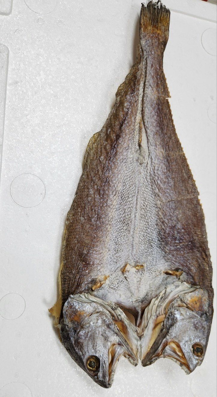 직송포유님의 장터 판매 상품 [신안 지도 반건조 민어 퉁치] 첨부 사진