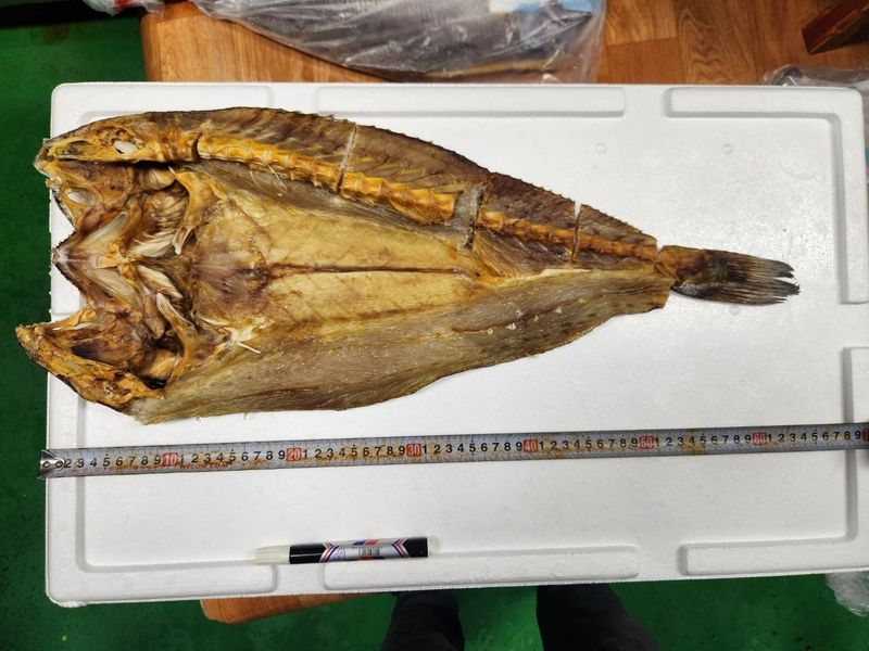 직송포유님의 장터 판매 상품 [신안 지도 반건조 민어 퉁치] 첨부 사진