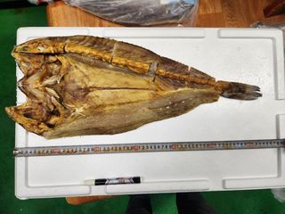 직송포유님의 작성글 사진