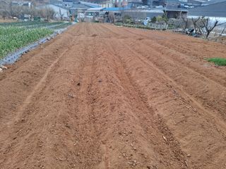 나누고싶어서님의 자유주제 · 자유게시판 작성글 사진