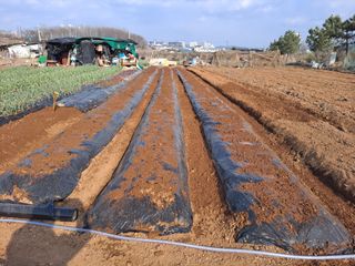 나누고싶어서님의 자유주제 · 자유게시판 작성글 사진