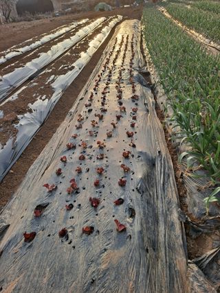 나누고싶어서님의 자유주제 · 자유게시판 작성글 사진