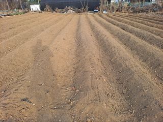 나누고싶어서님의 자유주제 · 자유게시판 작성글 사진