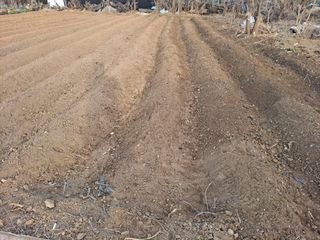 나누고싶어서님의 자유주제 · 자유게시판 작성글 사진