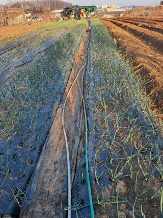 나누고싶어서님의 자유주제 · 자유게시판 작성글 사진