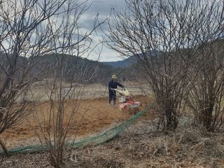 안씨농원님의 감자 · 영농일지 작성글 사진