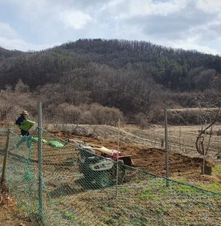 안씨농원님의 감자 · 영농일지 작성글 사진