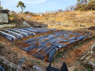 왕초농부님의 자유주제 · 자유게시판 작성글 사진