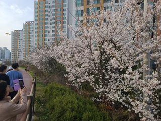 박전규님의 자유주제 · 자유게시판 작성글 사진