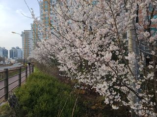 박전규님의 자유주제 · 자유게시판 작성글 사진