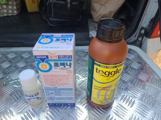 박전규님의 자유주제 · 자유게시판 작성글 사진