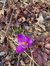 팜모닝 자유주제·자유게시판 게시글 이미지