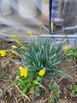 동해리님의 자유주제 · 자유게시판 작성글 사진