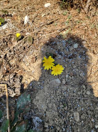 동해리님의 자유주제 · 자유게시판 작성글 사진
