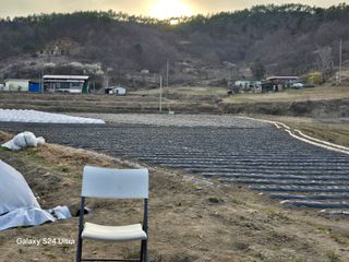 윤남교ㅡ안심농원님의 감자 · 영농일지 작성글 사진