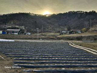 윤남교ㅡ안심농원님의 감자 · 영농일지 작성글 사진